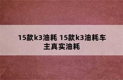 15款k3油耗 15款k3油耗车主真实油耗